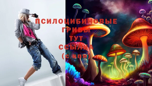 гашик Алексеевка