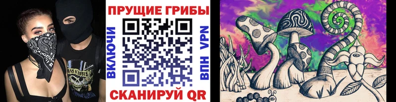 Псилоцибиновые грибы Cubensis  Купить закладки  Славск 